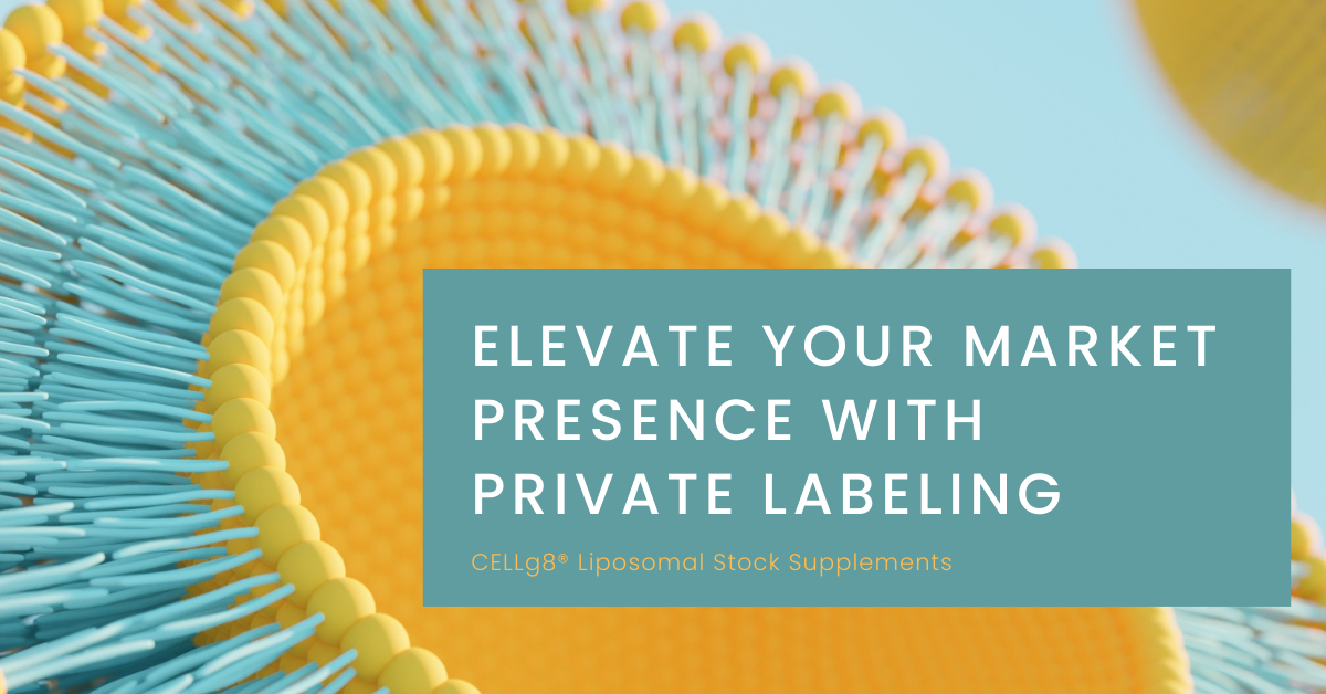 Elevate Your Market Presence