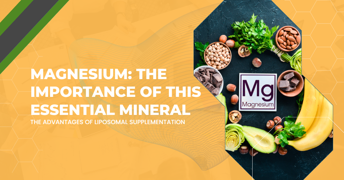 Magnesium Importance - Cover (1200x628)
